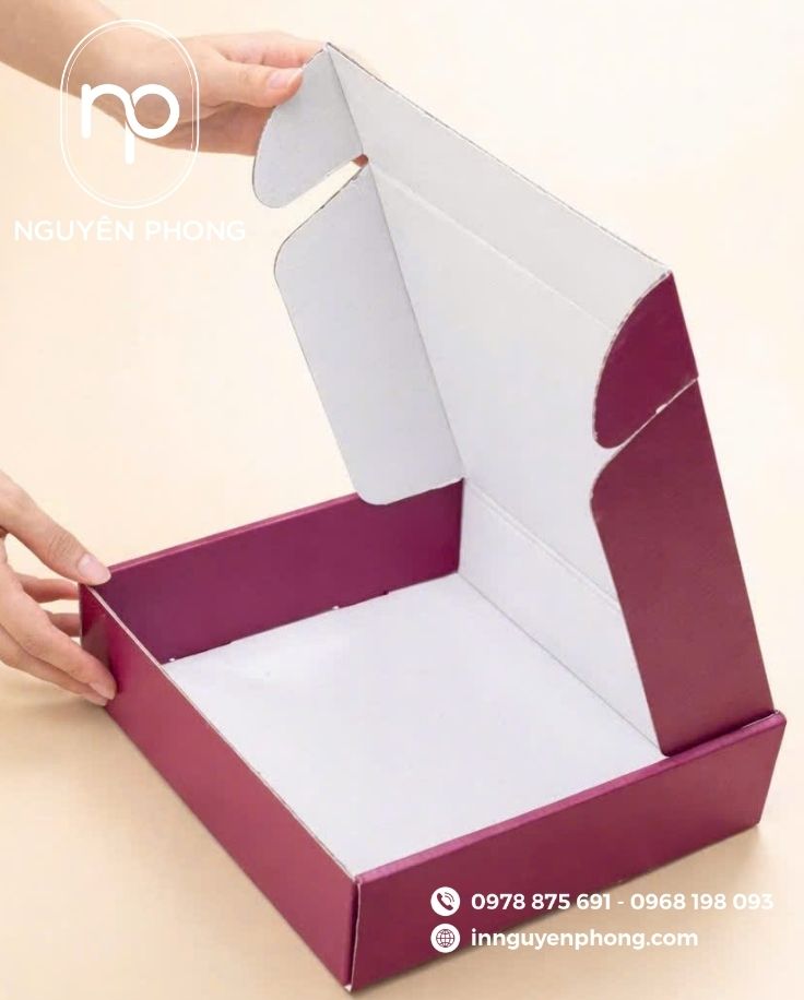 Mẫu in hộp đựng quần áo carton sóng 